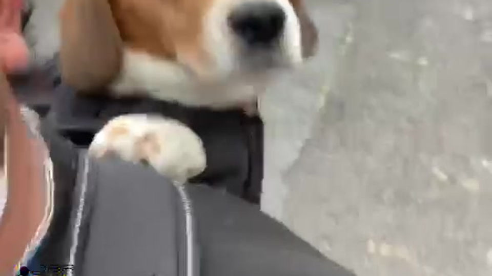 No lo dejes!!!  Llévalo a todo lado